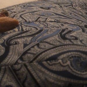 Meet your Posher, Andres